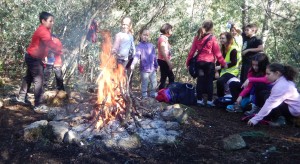 Scouts na fogueira