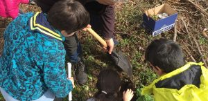 plantación de árboles en Palmés, Ourense