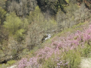 campamento no Invernadeiro