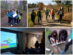 actividades de tropa scout