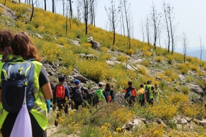 Manada en ruta scout