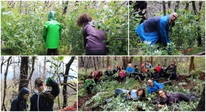 scouts contra vexetación invasora
