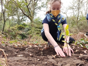 scout planta un árbol